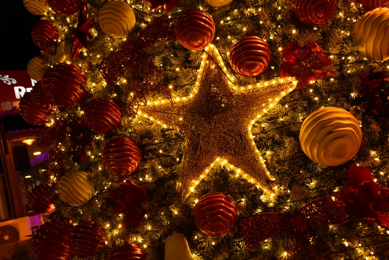 Marche de Noel Daroun-Harissa